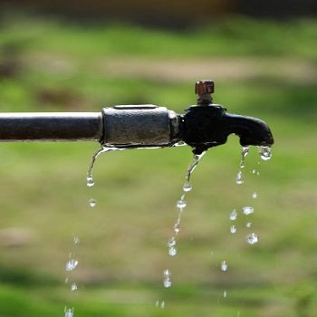 drain_stainers 5-6122987-45749.jpg